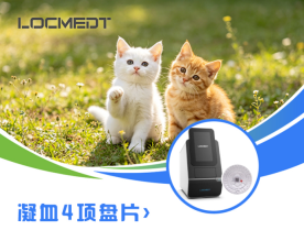 A New Era of Inhalation Anesthesia for Dogs and Cats — LOCMEDT Empowers Pet Coagulation Testing