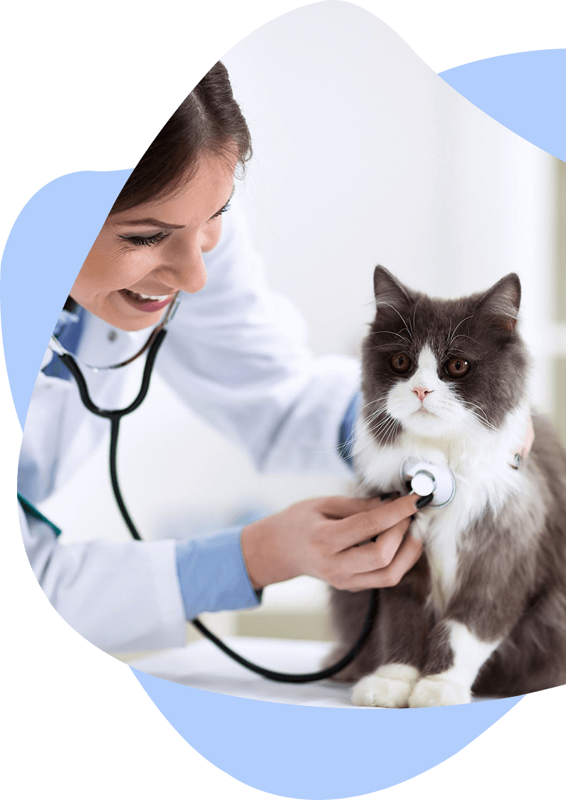 Vet Diagnostics